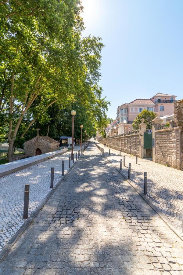 Apartament Casa Da Ponte Velha Termas de Sao Pedro do Sul Zewnętrze zdjęcie