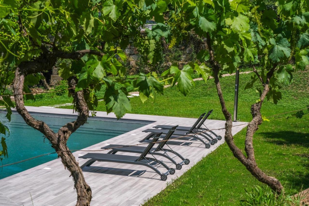 Apartament Casa Da Ponte Velha Termas de Sao Pedro do Sul Zewnętrze zdjęcie
